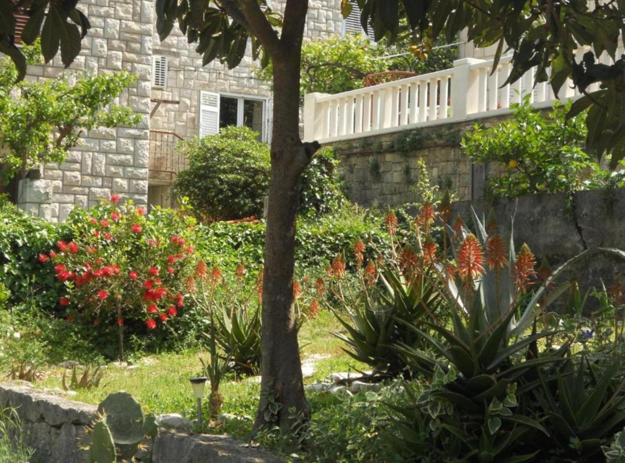 Apartment Plaza Korčula Dış mekan fotoğraf